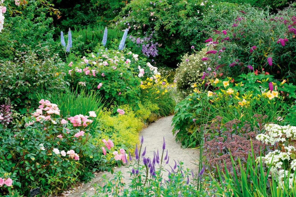 The 12 best flowering shrubs to plant for year-round colour in your garden  - Country Life