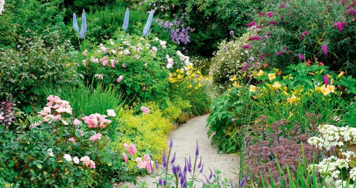 The 12 best flowering shrubs to plant for year-round colour in your garden  - Country Life