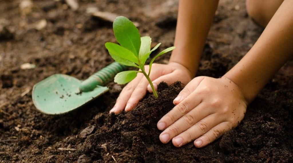 Gardening With Children: Tips, Tricks, and Benefits to Gardening with Kids