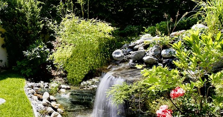 Harmony and Balance in Feng Shui Gardens | Smart Principles