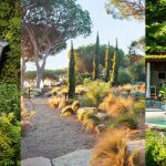 30 garden trends for a glorious green space in 2023 | Homes & Gardens