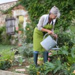 Eco-friendly gardening? Here's how to make your outdoor space a 'green'  space. — Eco Balance Landscaping Ballito | Garden Services | Irrigation |  Paving
