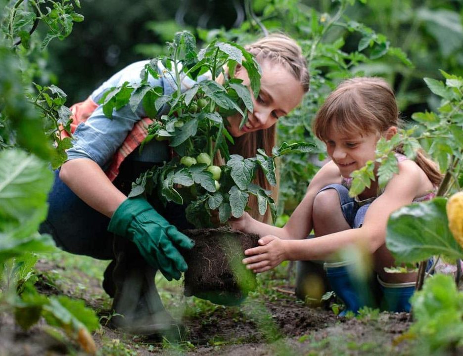 11 Homemade Insecticides and Pesticides to Protect Your Garden